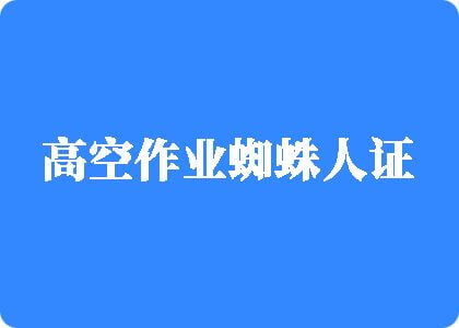 透逼逼高空作业蜘蛛人证